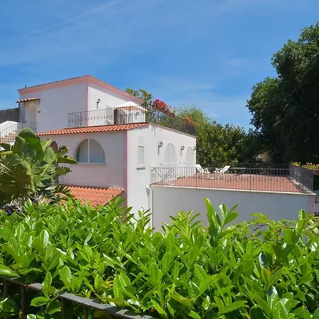 Aegidius Ischia